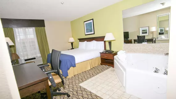 Holiday Inn Express Hotel & Suites Roseville | Michigan - Detroit (ve civarı) - Roseville