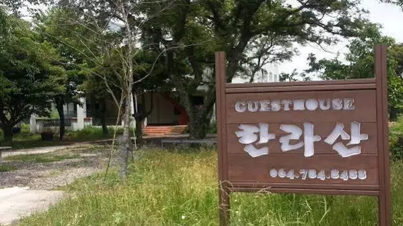 Hallasan Guesthouse | Jeju Adası - Jeju - Jocheon