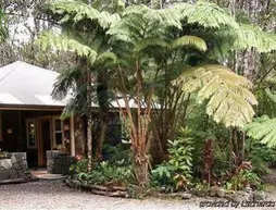 Volcano Mist Cottage | Hawaii - Hawaii Adası - Volcano