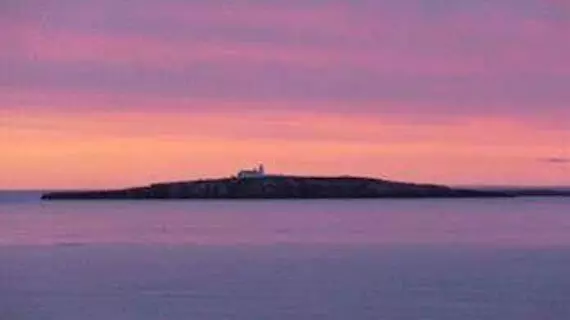 Gun Rock | Northumberland (kontluk) - Seahouses