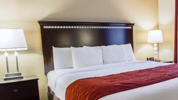 Comfort Inn & Suites Maingate South | Florida - Orlando (ve civarı) - Disney's Maingate West