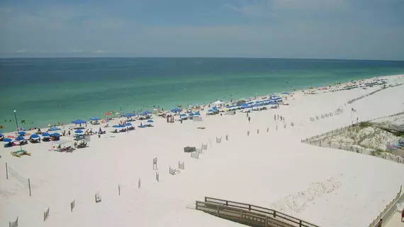 Hilton Garden Inn Orange Beach | Alabama - Gulf Shores (ve civarı) - Orange Beach