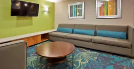 Holiday Inn Express Hotel & Suites Kimball | Tennessee - Chattanooga (ve civarı) - Kimball