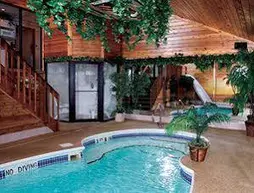 Sybaris Pool Suites Indianapolis | Indiana - Indianapolis (ve civarı) - Indianapolis