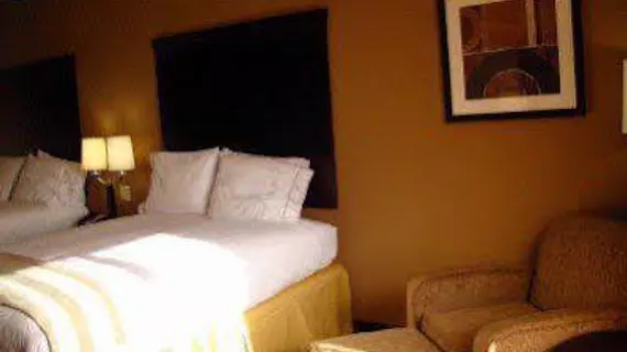 Holiday Inn Express Hotel & Suites Dallas Central Market Center | Teksas - Dallas (ve civarı) - Dallas