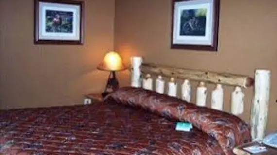 Pine Peaks Lodge and Suites | Minnesota - Brainerd (ve civarı) - Crosslake