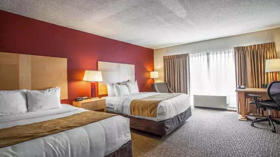 Comfort Suites Michigan Avenue | İllinois - Chicago (ve civarı) - Chicago - The Loop