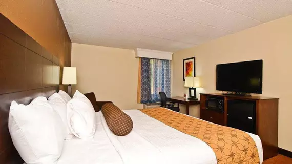 Best Western Plus Arbour Inn and Suites | Tennessee - Chattanooga (ve civarı) - Chattanooga