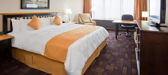 Radisson Hotel Milwaukee West | Wisconsin - Milwaukee (ve civarı) - Milwaukee