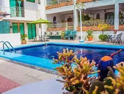 Hotel Paloma del Mar | Nayarit - Bahía de Banderas - Puerto Vallarta (ve civarı) - Puerto Vallarta - Gringo Gulch - Puerto Vallarta Şehir Merkezi