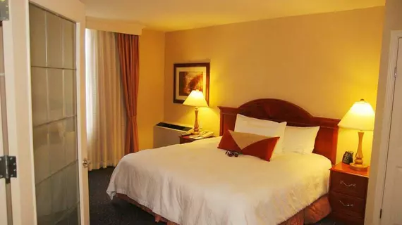 Hilton Garden Inn West Edmonton | Alberta - Edmonton (ve civarı) - Edmonton - West Edmonton