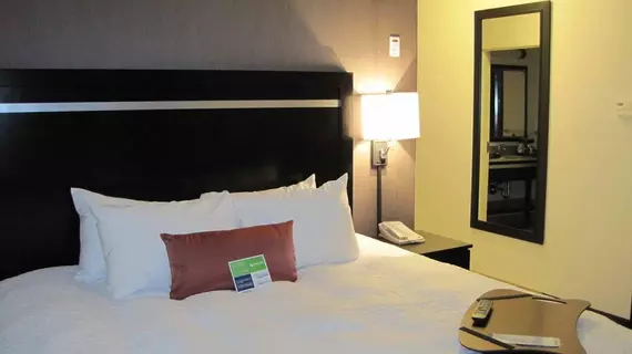 Hampton Inn by Hilton Fort Saskatchewan | Alberta - Edmonton (ve civarı) - Fort Saskatchewan