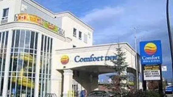 Comfort Inn and Suites University | Alberta - Calgary (ve civarı) - Calgary - Banff Trail