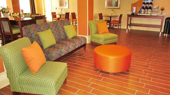 HOLIDAY INN EXPRESS & SUITES J | Florida - Jacksonville (ve civarı) - Jacksonville