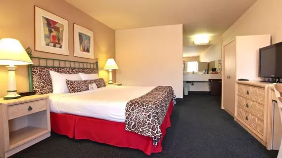 Coast Safari Inn | Kaliforniya - Los Angeles County - Burbank