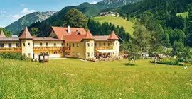 Hotel Waldesruh | Lower Austria (Aşağı Avusturya) - Gostling an der Ybbs