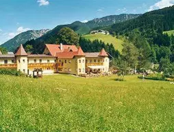 Hotel Waldesruh | Lower Austria (Aşağı Avusturya) - Gostling an der Ybbs