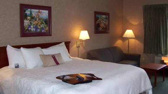 Hampton Inn Detroit/Belleville-Airport Area | Michigan - Detroit (ve civarı) - Belleville