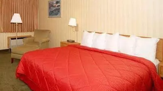 Comfort Inn Plymouth | Michigan - Detroit (ve civarı) - Plymouth