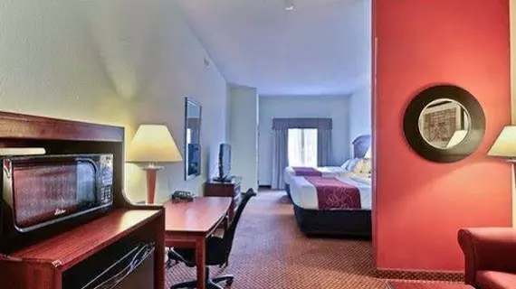 Comfort Suites Indianapolis Airport | Indiana - Indianapolis (ve civarı) - Indianapolis