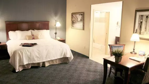 Hampton Inn & Suites Fruitland | Maryland - Salisbury (ve civarı) - Fruitland