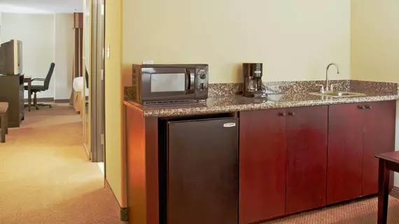 Holiday Inn Express Leesville | Louisiana - Leesville (ve civarı) - New Llano