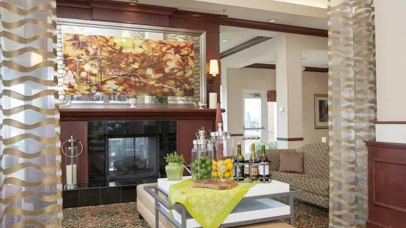 Hilton Garden Inn Indianapolis Airport | Indiana - Indianapolis (ve civarı) - Indianapolis