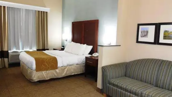 Comfort Suites Ocean City | Maryland - Ocean City (ve civarı) - Ocean City - West Ocean City