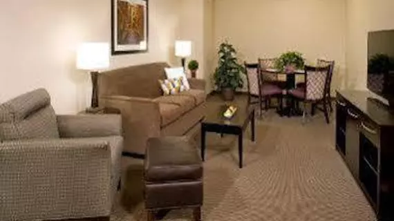 Grand Legacy At the Park | Kaliforniya - Orange County - Anaheim - Anaheim Resort