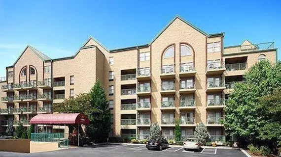 Black Bear Inn & Suites | Tennessee - Gatlinburg - Pigeon Forge (ve civarı) - Gatlinburg