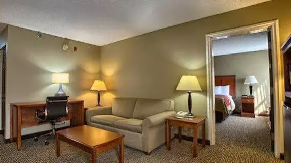 Comfort Inn Opelika | Alabama - Auburn - Opelika (ve civarı) - Opelika