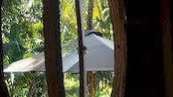 Shriman Yoga Bungalows | Bali - Ubud - Ubud Kent Merkezi