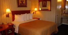 Hilton Garden Inn Anaheim Resort | Kaliforniya - Orange County - Anaheim - Anaheim Resort