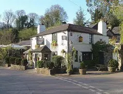 The Watermans Arms | Devon (kontluk) - South Hams - Totnes