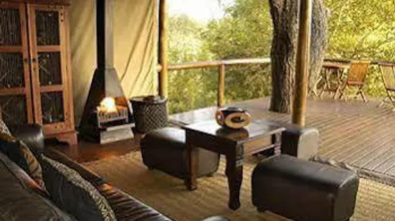 Camp Shonga | Mpumalanga - Mbombela - Kruger National Park