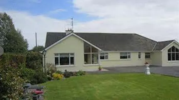 Ashleigh House B&B | Waterford (kontluk) - Waterford