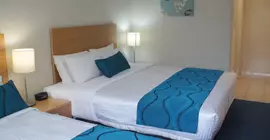 Best Western Airport 85 Motel | Queensland - Brisbane (ve civarı) - Ascot