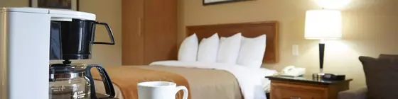 Comfort Inn Truro | Nova Scotia - New Glasgow (ve civarı) - Truro