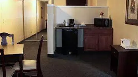 Comfort Suites Wixom / Novi | Michigan - Detroit (ve civarı) - Wixom