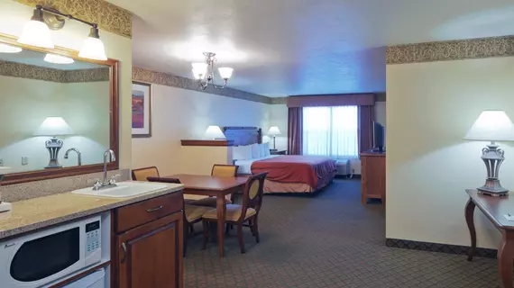 Country Inn & Suites - Appleton North | Wisconsin - Little Chute