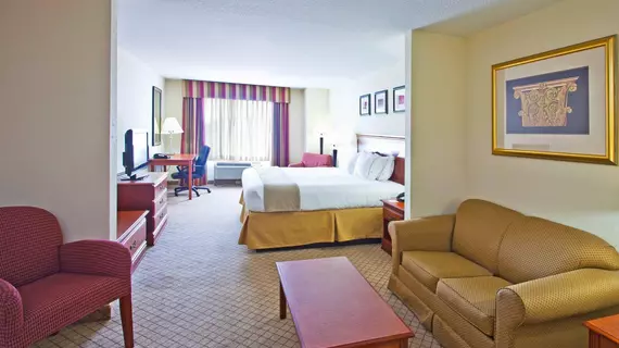 Holiday Inn Express Hotel & Suites Tampa-Fairgrounds-Casino | Florida - Tampa (ve civarı) - Tampa