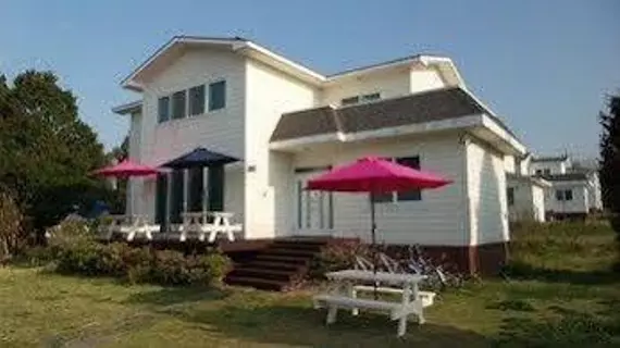 Olle Guesthouse | Jeju Adası - Seogwipo - Seogwipo Şehri