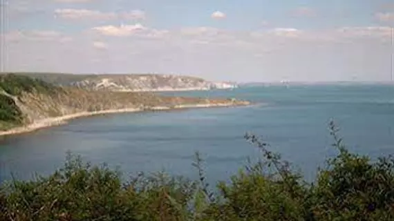 Amberlea Guest House | Dorset (kontluk) - Purbeck District - Swanage