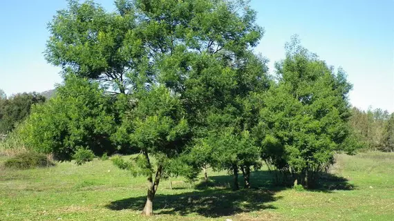 Agriturismo Baratz | Sardinya - Sassari - Algero