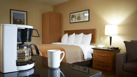 Comfort Inn Edmonton West | Alberta - Edmonton (ve civarı) - Edmonton - West Edmonton