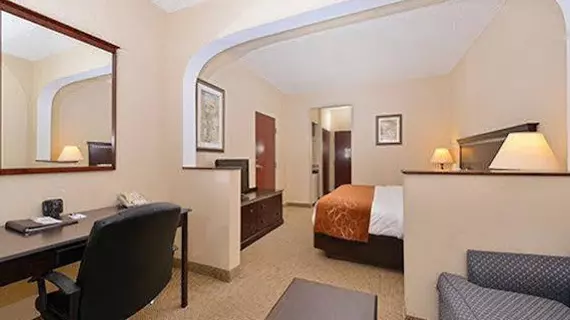 Comfort Suites Westminster | Kolorado - Denver (ve civarı) - Westminster