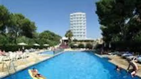 Hotel Timor | Balearic Adaları - Mayorka Adası - Palma de Mallorca - El Arenal