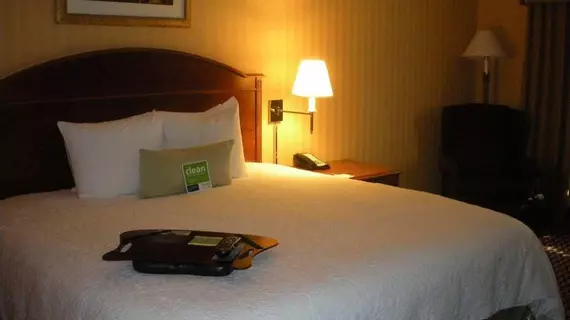 Hampton Inn & Suites Sacramento-Auburn Boulevard | Kaliforniya - Sacramento (ve civarı) - Sacramento