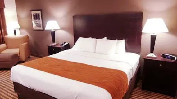 Comfort Inn & Suites Lawrence | Kansas - Topeka (ve civarı) - Lawrence