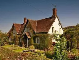 Dove Cottage B&B | Wiltshire (kontluk) - Calne